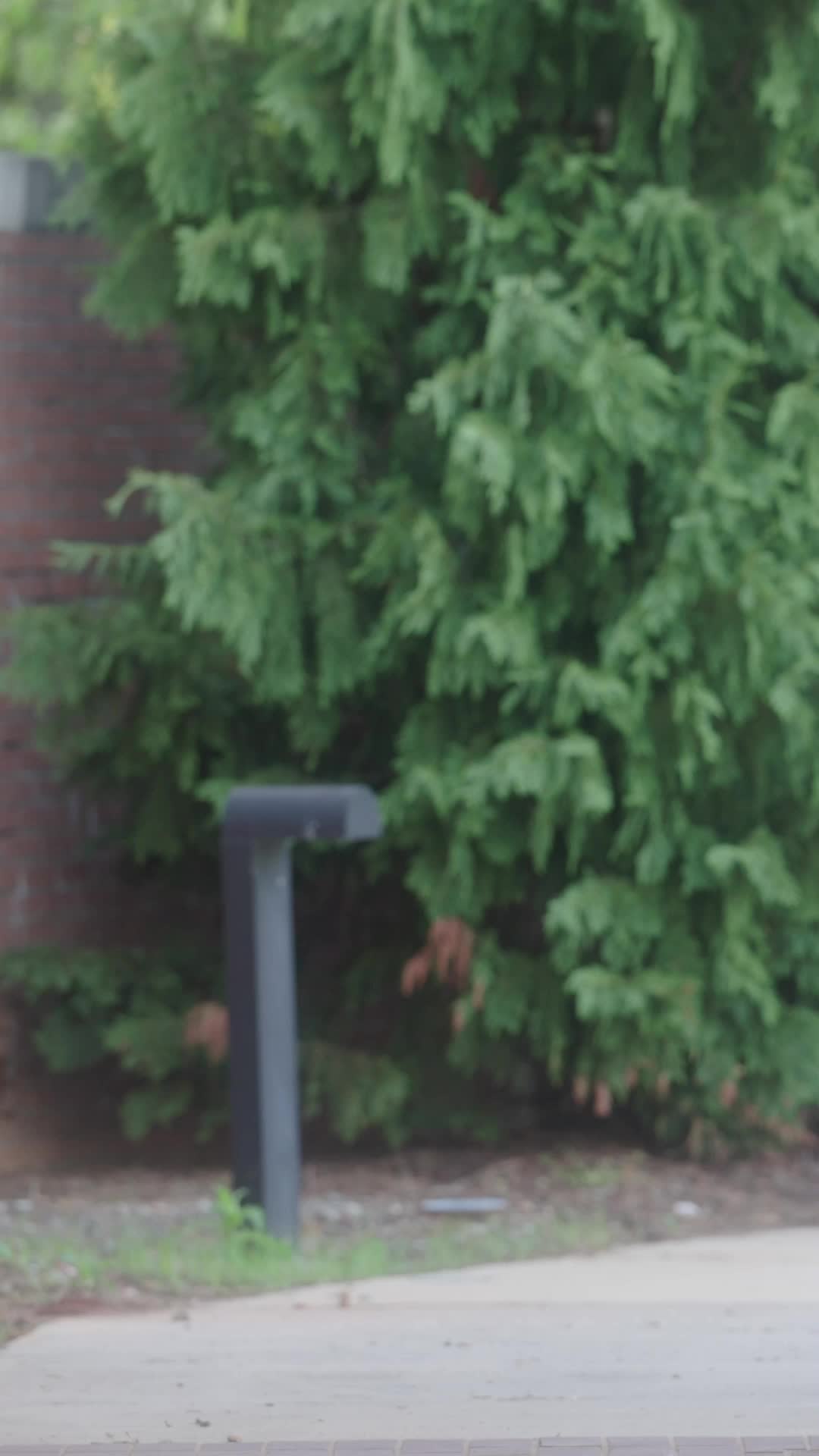 الحلقة 10 - عشق في الظلال